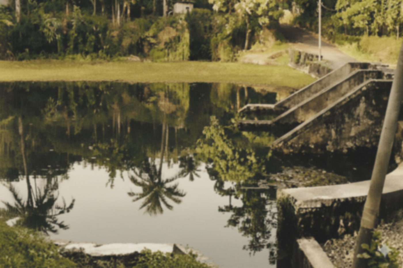 Paranikulam